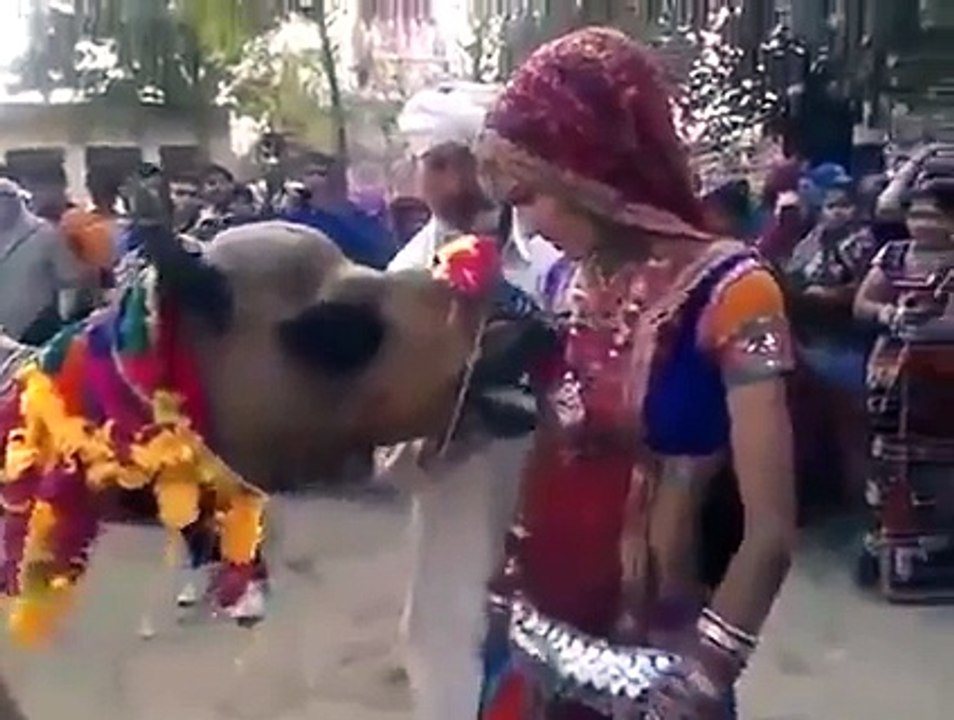 Most viraL Video