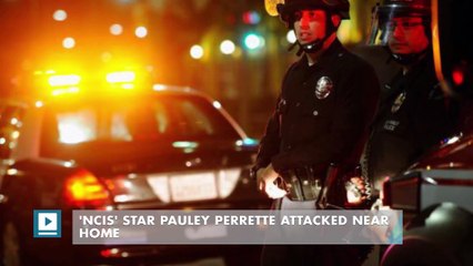 Скачать видео: 'NCIS' star Pauley Perrette attacked near home