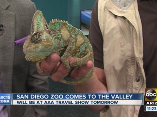 San Diego Zoo in Arizona for AAA Arizona Travel Show