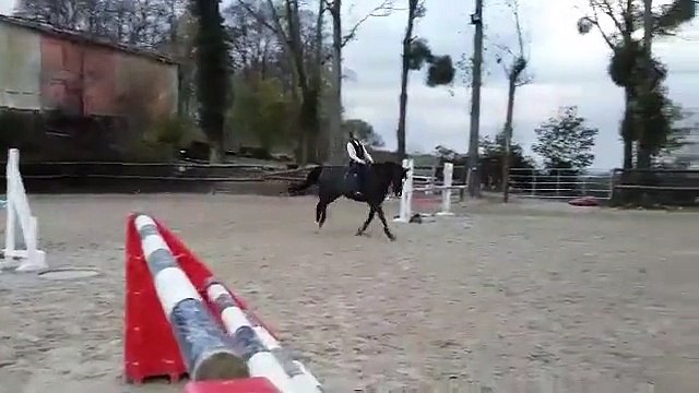 HONGRE DE 9 ANS, REVE D'ELLE / ADELFOS