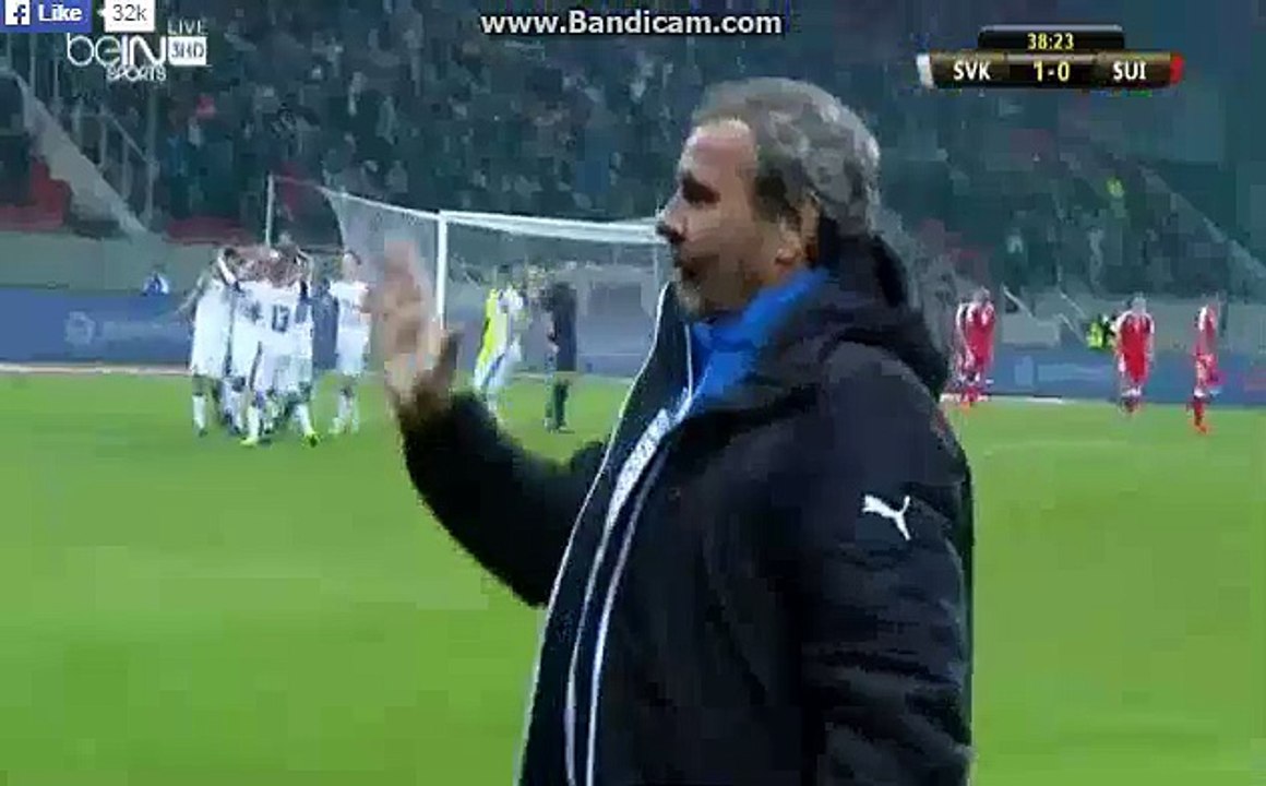 Michal Duris Great Goal Slovakia 1-0 Switzerland 13.11.2015 HD