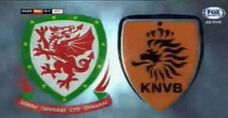 Wesley Sneijder Amazing Skill Pass - Wales vs Netherlands - Friendly Match 13-11-2015