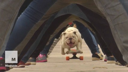 These amazing new world records will blow your mind