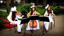 Струнное трио (скрипки и виолончель) - живая музыка на свадьбу