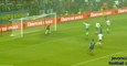 Bosnia & Herzegovina 1 - 1 Ireland - Euro - Qualification - Highlights - 13/11/2015