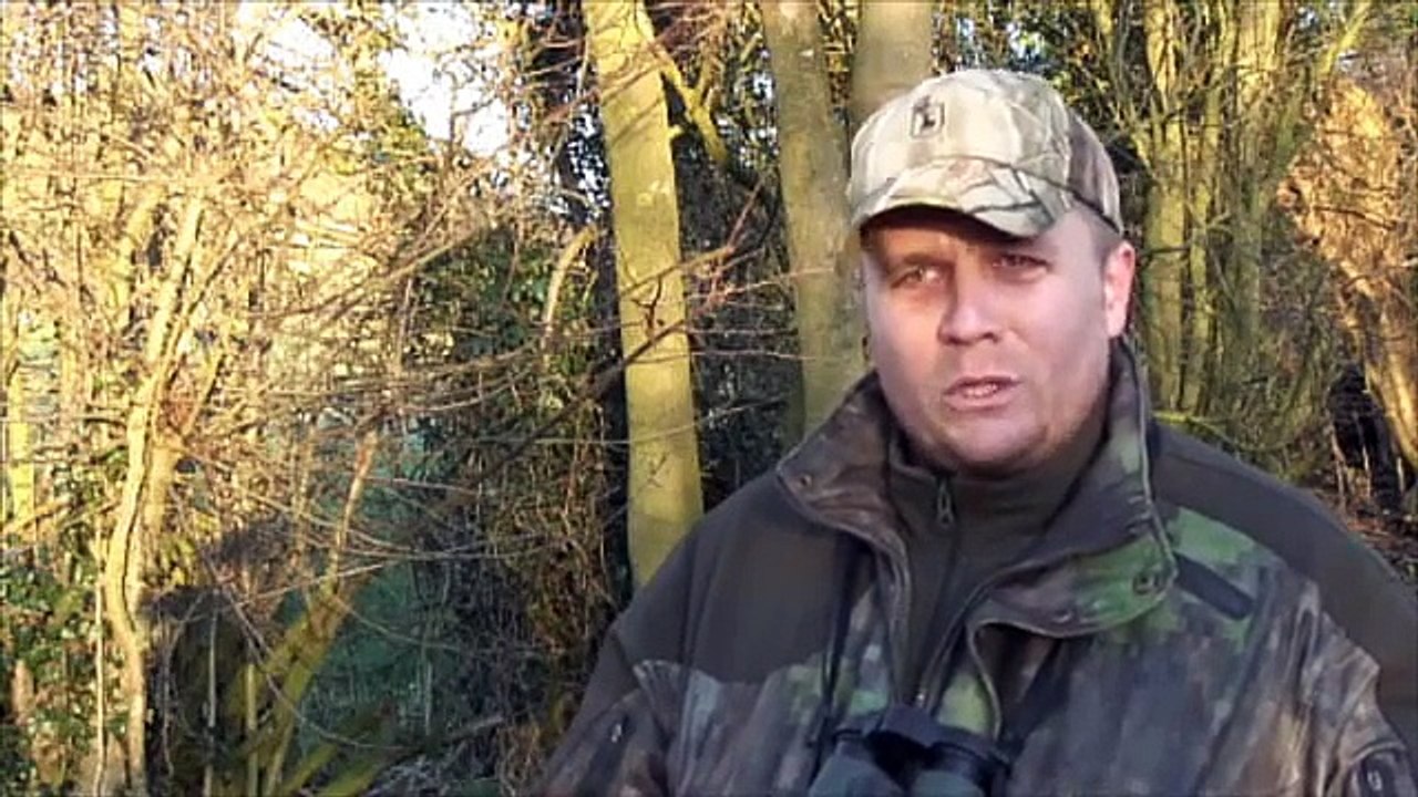 The Shooting Show Fallow deer cull and Burton Agnes pheasants