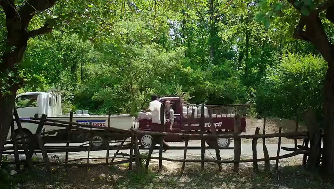 Düğün Dernek 2 (Sünnet) Fragman 2015