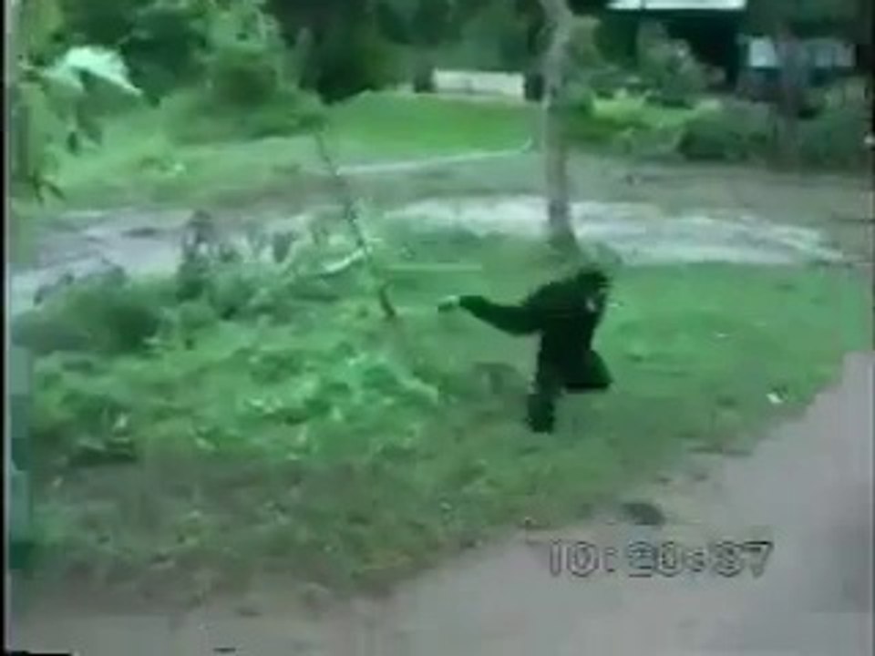You will not Stop Laughing After Watching This Video