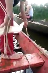 Isto sim é uma pescaria, da uma olhada na quantidade