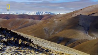 [National Geographic] Wild Russia: Siberia HD (Nature Documentary)