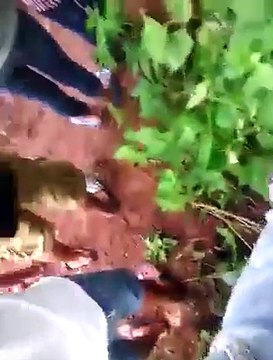 ALLAH PAK ki qudrat to dekho samundar b apni hadd par nahin karty yeh dekhen