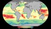 NASA | Earth’s Oceans Show Decline In Microscopic Plant Life