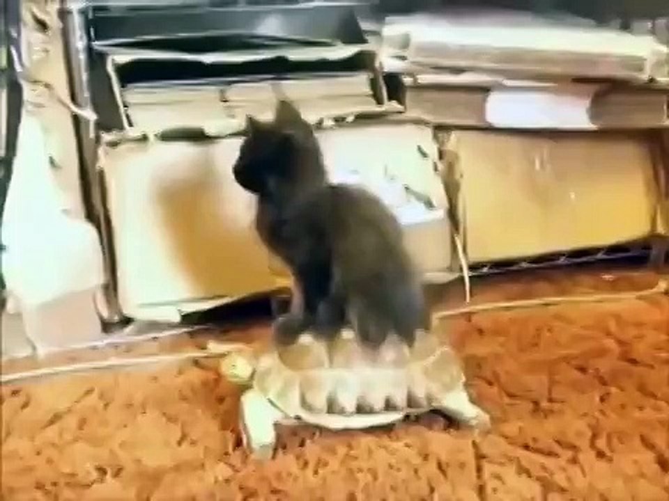 Народные коты
