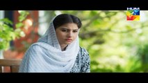 Ek Thi Misaal Episode 15 Full HUM TV Drama 02 Nov 2015