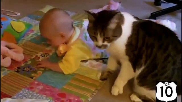 Пушистые заботливые няньки. Забавные кошки присматривают за детьми