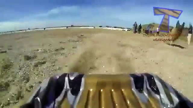 Реакция котов и псов на радиоуправляемые машины. Смешная реакция животных