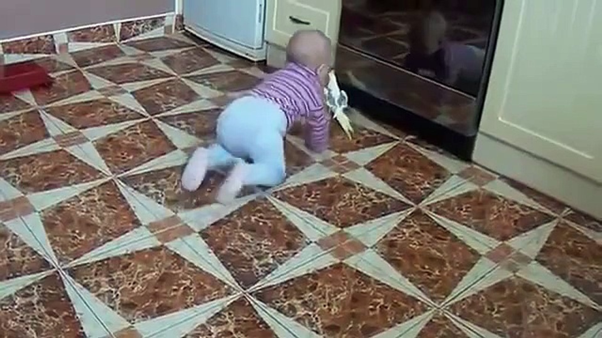 ⁣Ребёнок ползёт за попугаем. Попугай и малыш