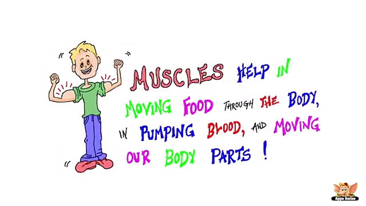 Fun Facts About Human Body