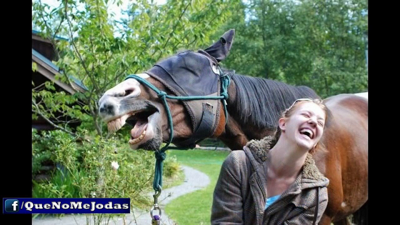 Fotos Tomadas en el Momento Exacto #9 2015 Photos Taken At The Right Moment