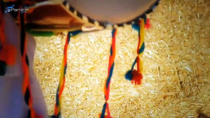 Ustad Gulzaman & Anil Bakhsh - Mina