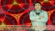 Stefan din Barbulesti Beau pentru tatal meu HIT 2013 2014 Muzica Petrecere Revelion