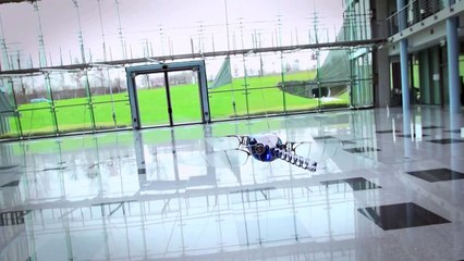 BionicOpter  robotic dragon fly