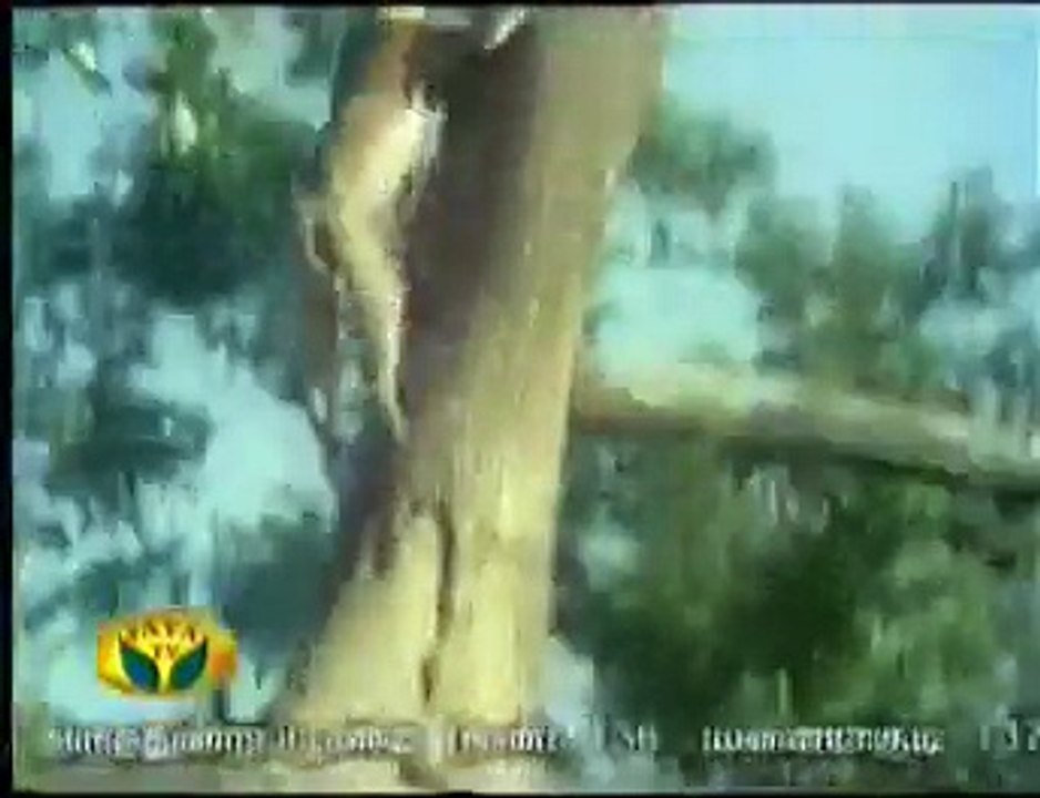 rare christian tamil keerthanigal