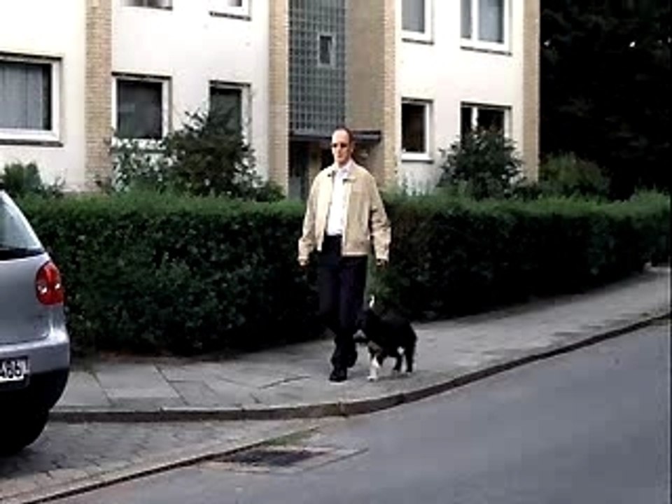 Pub OBI