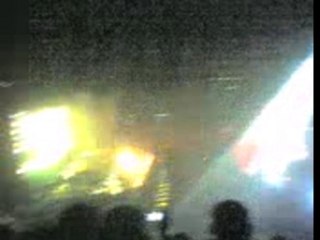 waters bercy Sheep 2