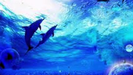 As Ohane「織羽のように」DANCE MUSIC / DJ A KUN