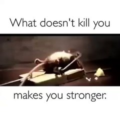 what doesn't kill you simply make you stronger
