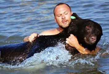 Bear Rescued from Drowning
