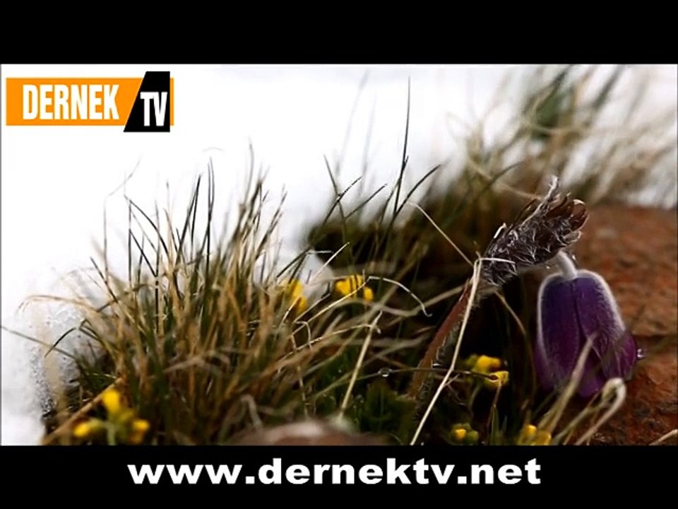 Kar Yağardı Erzuruma (Murat Balkuş)