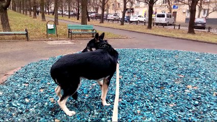 Ринки