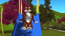 Finger Family Rhymes for kindergarten Tiger Cartoons | Finger Family Children Nursery Rhym