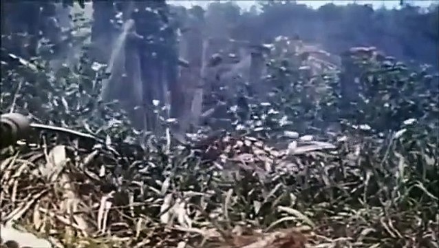 WW2 USS Enterprise and the Battle of the Santa Cruz Islands