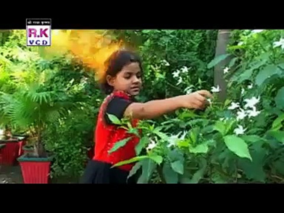 Tonhi Sang Matiya Most Popular Chhattisgarhi Super Duper Hit New Jasgeet Songs