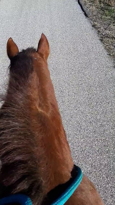 Première balade seuls _ KissCool