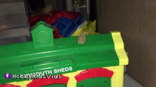 Frog Jumps into Our House! Scares HobbyMom + Trouble Catching HobbyKidsVids