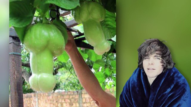 Freaky Body Parts (Strange & Embarrassing Bodies)