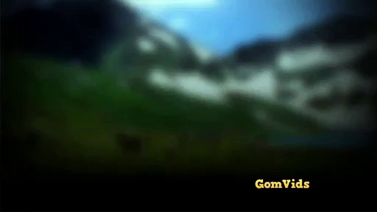 Naran, Dudipatsar Gomvids.com
