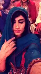 Qandeel Baloch In Wedding Dancing Mera Yaha Koi Nahi