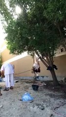 what an idea very fast way to remove