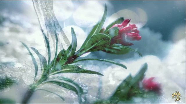 Облака. Музыка Дмитрия Метлицкого