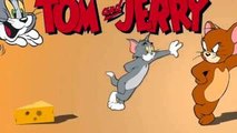 Tom And Jerry Finger Family Song | Finger Family Song For Children & English Childrens So