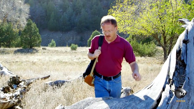 Majority of Earths Water Likely Not from Comets