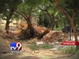 Despite spending crores, garbage piles up in Gujarat University - Tv9 Gujarati