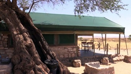 Visite à Gecko Camp - Namibie
