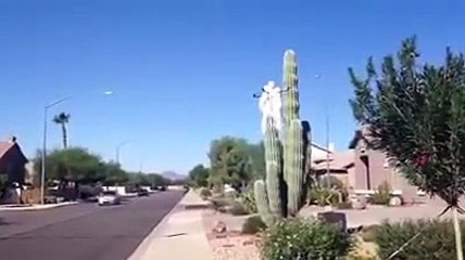 ghost fly with drone - technology rocks - Genius Vines