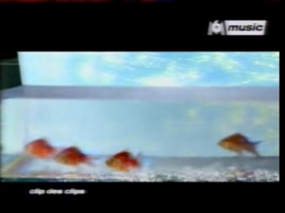 c'est pour la vie Cyril PAulus clip